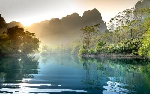 高端高端智能化